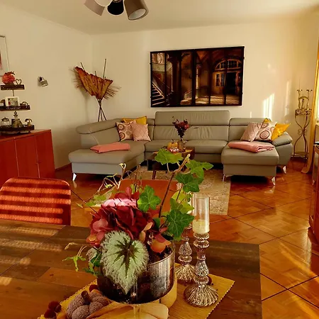 2 Zimmer Domizil Am Suedhang Mit Terrasse Und Pool Ortenberg  Zewnętrze zdjęcie