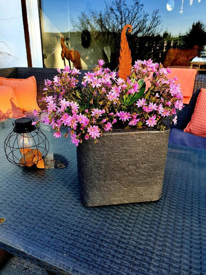 Appartamento 2 Domizil Am Suedhang Mit Terrasse Und Pool